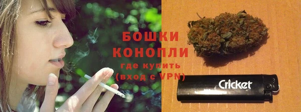 шишки Дмитровск