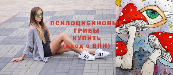 метамфетамин Елизово