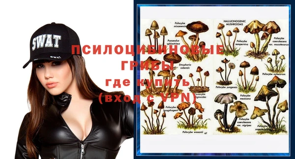 хмурый Дмитриев