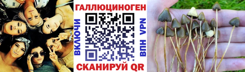 Галлюциногенные грибы ЛСД  Купить закладки  Ливны 